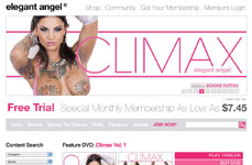 plataforma de jogos que paga de verdade - Elegant Angel